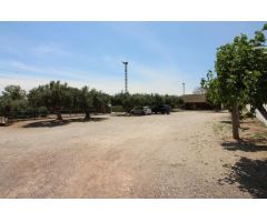 Terreno hipica en Almenara