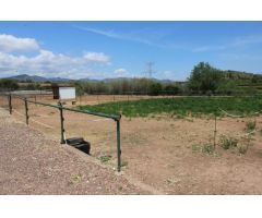 Terreno hipica en Almenara
