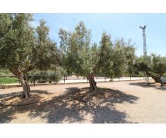 Terreno hipica en Almenara