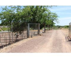 Terreno hipica en Almenara