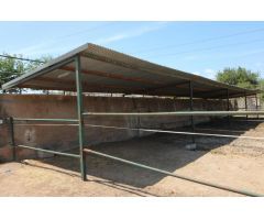 Terreno hipica en Almenara