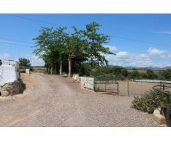 Terreno hipica en Almenara