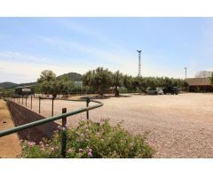 Terreno hipica en Almenara