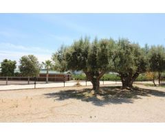 Terreno hipica en Almenara