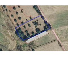 Olivar de 2.925 m²