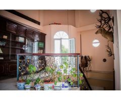 Elegancia y luz en el corazón de Moguer