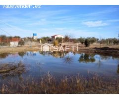 DISFRUTA DE ESTA MARAVILLA ! . Un campo precioso, cuidado con mimo, donde olivos en plena producció