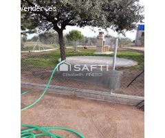 DISFRUTA DE ESTA MARAVILLA ! . Un campo precioso, cuidado con mimo, donde olivos en plena producció