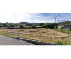 TERRENO EDIFICABLE EN FORNELOS - O ROSAL (PONTEVEDRA)
