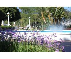Pisos en Venta  Torre Del Mar Málaga