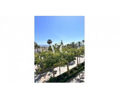 Pisos en Venta  Torre Del Mar Málaga