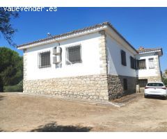 Chalet de 256m2 en parcela de 3.531m2. 5 habitaciones, 2 cuartos de baño, salón con chimenea franc