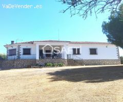 Chalet de 256m2 en parcela de 3.531m2. 5 habitaciones, 2 cuartos de baño, salón con chimenea franc