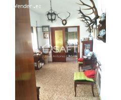 Chalet de 256m2 en parcela de 3.531m2. 5 habitaciones, 2 cuartos de baño, salón con chimenea franc