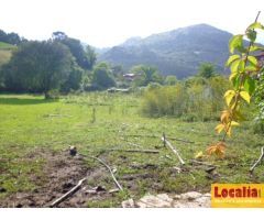 Conjunto de terrenos urbanizables en Limpias