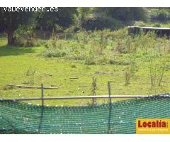 Conjunto de terrenos urbanizables en Limpias