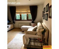 Pisos en Alquiler  Polanco Cantabria