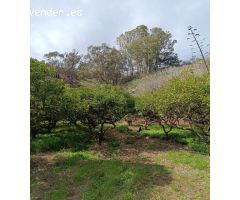 Terreno con cueva