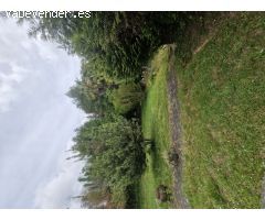 Casa de campo-Masía en Venta en Amañecida, A (Roxos) La Coruña 