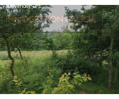 Suelo rústico en Venta en A Laracha La Coruña