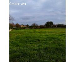 Suelo urbanizable en Venta en Rabade Lugo 