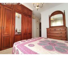 Pisos en Alquiler  Málaga Málaga