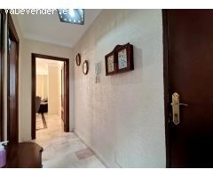 Pisos en Alquiler  Málaga Málaga