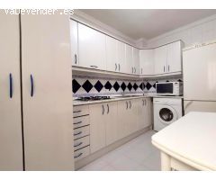 Pisos en Alquiler  Málaga Málaga