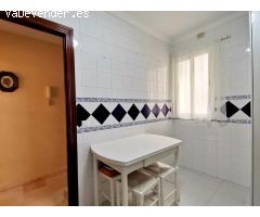 Pisos en Alquiler  Málaga Málaga