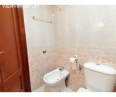 Pisos en Alquiler  Málaga Málaga