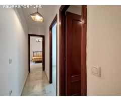 Pisos en Alquiler  Málaga Málaga