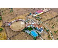 Venta de finca con gran vivienda y Plaza de toros, Badajoz (Extremadura)