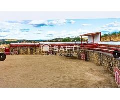 Venta de finca con gran vivienda y Plaza de toros, Badajoz (Extremadura)