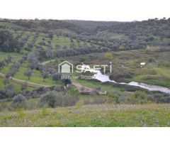 Venta de finca con gran vivienda y Plaza de toros, Badajoz (Extremadura)