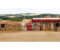 Venta de finca con gran vivienda y Plaza de toros, Badajoz (Extremadura)