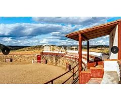 Venta de finca con gran vivienda y Plaza de toros, Badajoz (Extremadura)
