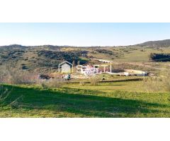Venta de finca con gran vivienda y Plaza de toros, Badajoz (Extremadura)