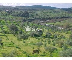 Venta de finca con gran vivienda y Plaza de toros, Badajoz (Extremadura)