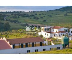 Venta de finca con gran vivienda y Plaza de toros, Badajoz (Extremadura)