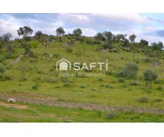 Venta de finca con gran vivienda y Plaza de toros, Badajoz (Extremadura)