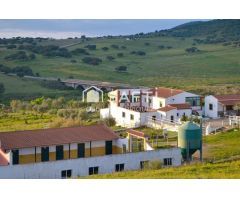 Venta de finca con gran vivienda y Plaza de toros, Badajoz (Extremadura)