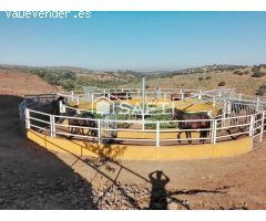 Venta de finca con gran vivienda y Plaza de toros, Badajoz (Extremadura)