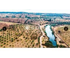 Venta de finca con gran vivienda y Plaza de toros, Badajoz (Extremadura)