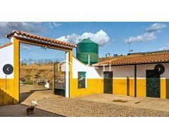 Venta de finca con gran vivienda y Plaza de toros, Badajoz (Extremadura)