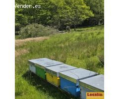 Cabaña en valles pasiegos 1.5 ha con luz y agua