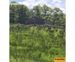 Cabaña en valles pasiegos 1.5 ha con luz y agua