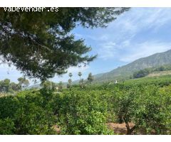 SE VENDE CASA RUSTICO
