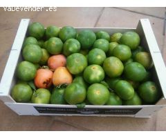SE VENDE CASA RUSTICO