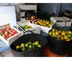 SE VENDE CASA RUSTICO