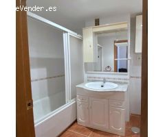 Pisos en Alquiler  Málaga Málaga